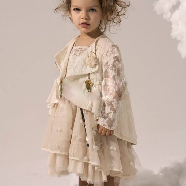 27858458 1792932374110738 2120334881668683325 n