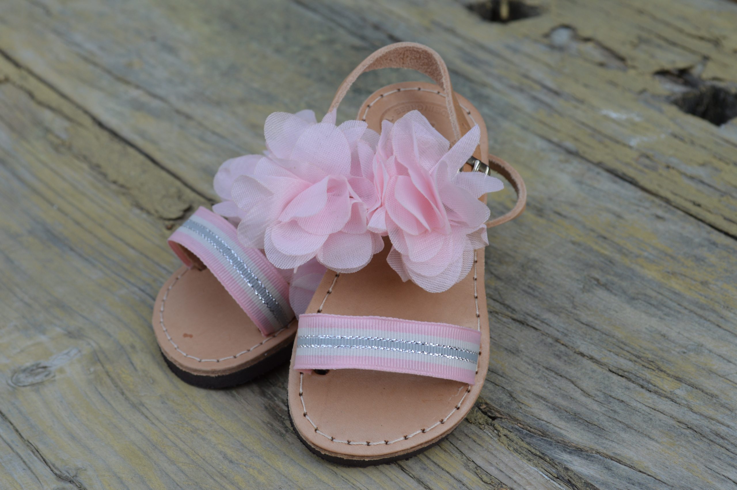 DSC 8350 scaled 1 DSC 8350 scaled 1